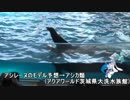 【ポケモンSM】水族館パ・デ・アローラ：2【ダブルフリー伝説無】