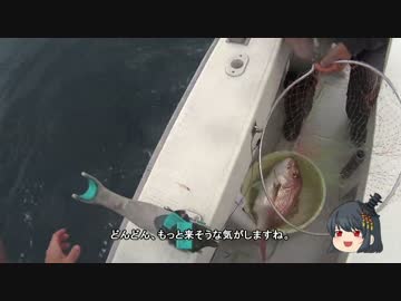 【魚釣り】　痛くない釣りに行ってみましょう　Part1　【冠島】