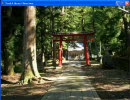 崖から落ちて幻想入り第参話