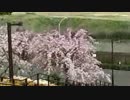 航空機の離発着が見れる公園で航空機の離着陸を撮影した。Part.1