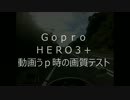 Ｇｏｐｒｏ　ＨＥＲＯ３+　アップロード時の画質テスト