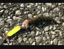 釣り動画ロマンを求めて　21釣目（川崎浮島つり園）