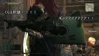 人気の ドラゴンズドグマオンライン 動画 1 632本 19 ニコニコ動画