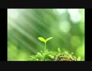 【オリジナルインスト】　始まり　（No.001）