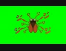 セミ兄貴 The animation.GB