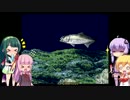 【海のぬし釣り】ゆかりん提督の釣りバカ日誌　15日目【ゆかり実況】