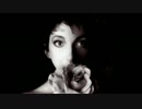 【作業用BGM】Kate Bush Side-B