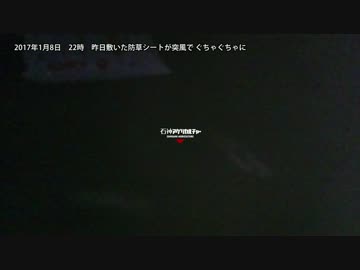 見習い農家　Lv39　さようなら防草シート