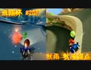 【マリオカート8】第11回飛翔杯 2GP【秋雨 秋風視点】
