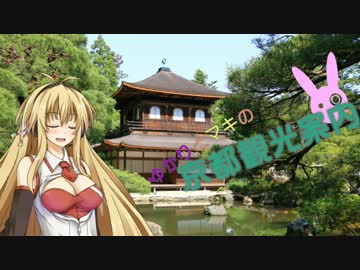 ゆかりとまきの京都観光案内Part.10　哲学の道・銀閣寺