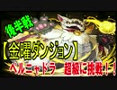 重猫龍　超級に挑戦その２　後半戦！！【パズドラ動画第３５回目】