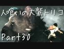 【実況】小さな少年と人喰いの大鷲の物語【トリコ】Part30