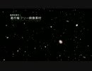 著作権フリー動画素材／商用利用可能／花びら舞う12_1_ループ