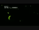 著作権フリー動画素材／商用利用可能／葉舞う14_1_ループ