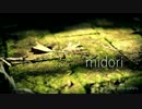 【NNI】 midori 【オリジナル】