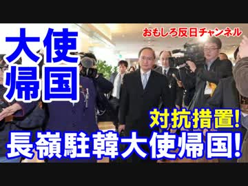 【韓国に対抗措置】 長嶺駐韓大使が日本に到着！某国もどらずＯＫ！
