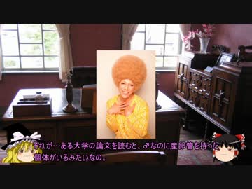 画質向上版：【ゆっくリサーチ20XX】ライポンの謎を解明せよ