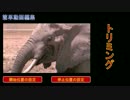 動画編集 分割