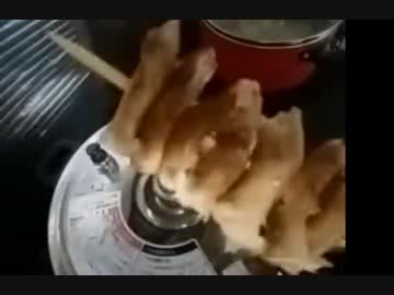 布団ちゃん『お雑煮作るで』 2
