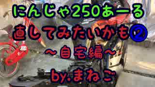 にんじゃ250あーる 直してみたいかも②