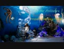 Aquatic Ambience (Rio'n'Bass Solo Remix) 《SDKDrumstep》