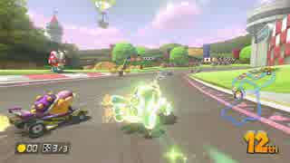 ゲームパッドの中にアザラシを飼う男のマリオカート８　後編