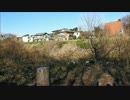 2016年12月/大宮公園付近芝川の野鳥
