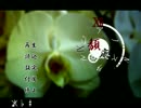 退廃おばさんが『頽廃ノスタルジア』実況プレイ：01
