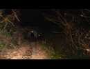 【心霊スポット】一人ガンバレ森島アーカイブ2016年12月26日【小峰トンネル編】チラ見せ