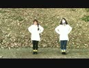 【はんねこ、虹夏】メランコリック 踊ってみた【4時間仕上げ】