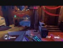 【PS4】overwatch どらどじゃーそる