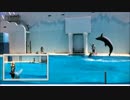 動画編集 映像の結合