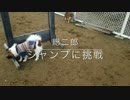 【慶一郎】ジャンプに挑戦【総二郎】