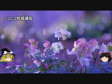 【牧場物語】リアルでもゲームでも牧場part52.5【ゆっくり実況】