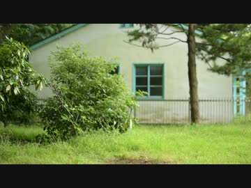 おめでとうとありがとうの気持ちを込めて「you」歌ってみた