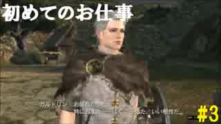 [実況]念願のオンラインへ。ドラゴンズドグマオンライン実況プレイPart3
