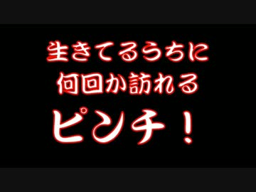 【やってみた】オオスズメバチの捕まえ方