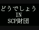 どうでしょうINSCP財団予告