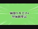 【MHX】猟団ハチミツX 狩猟観察記-part8-【実況】