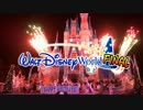 Walt Disney Worldへの旅Final