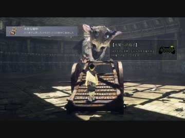 【大鷲トリコ】誰でも取れるトロフィーコンプリートガイド 中編【解説】