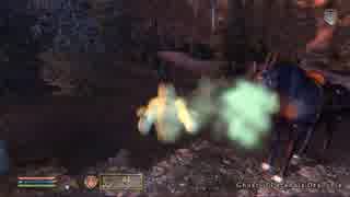 【Oblivion】我が道を行くオブリビオン 99【字幕】