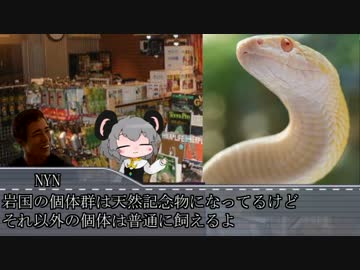 ハチュカス☆☆☆☆☆☆