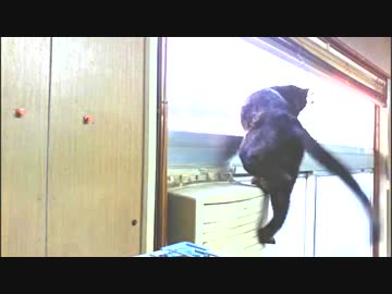 またやってくれましたｗ　ドジっ子あず