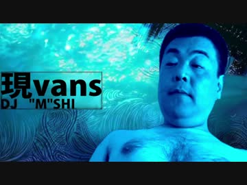 現vans
