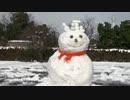 【安芸ひろしま武将隊】2017.1.15／広島城二ノ丸(大雪)