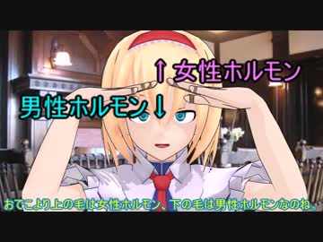 【東方MMD】育毛剤、使い方次第で逆にハゲる？