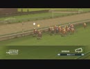 配合理論ガバガバな馬主が牝馬六冠を目指す　２５年目（５０年目）