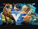 日中対抗戦 2日目 組手戦 中国チーム vs sako スト5