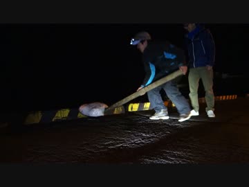 アウトドアをやろう！「釣り人vs巨大毒魚」 in 八丈島